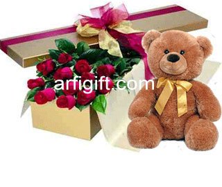 Send Teddy +Rose to Bangladesh, Send gifts to Bangladesh