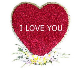 Send Heart Rose with 500 Pcs Red Roses to Bangladesh, Send gifts to Bangladesh