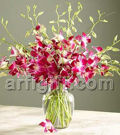 Send Red Orchid + Vase to Bangladesh, Send gifts to Bangladesh