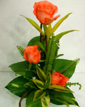 send gifts to bangladesh, send gift to bangladesh, banlgadeshi gifts, bangladeshi Thailand Pink Rose