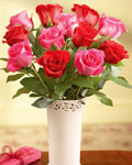 send gift to bangladesh, send gifts to bangladesh, send 50% & 50% Rose With Vase to bangladesh, bangladeshi 50% & 50% Rose With Vase, bangladeshi gift, send 50% & 50% Rose With Vase on valentinesday to bangladesh, 50% & 50% Rose With Vase