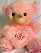 send gifts to bangladesh, send gift to bangladesh, banlgadeshi gifts, bangladeshi Pink Teddy
