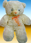 send gifts to bangladesh, send gift to bangladesh, banlgadeshi gifts, bangladeshi CuteTeddy