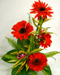 send gifts to bangladesh, send gift to bangladesh, banlgadeshi gifts, bangladeshi Thai Red Gerbera