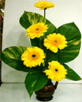 send gifts to bangladesh, send gift to bangladesh, banlgadeshi gifts, bangladeshi Thai Gerbera