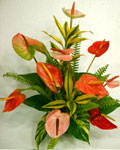 send gifts to bangladesh, send gift to bangladesh, banlgadeshi gifts, bangladeshi Mix Flower