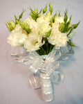 send gift to bangladesh, send gifts to bangladesh, send Thailand White Rose to bangladesh, bangladeshi Thailand White Rose, bangladeshi gift, send Thailand White Rose on valentinesday to bangladesh, Thailand White Rose