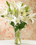 send gifts to bangladesh, send gift to bangladesh, banlgadeshi gifts, bangladeshi Thailand  Lily  With  Vase