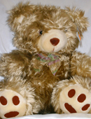 send gifts to bangladesh, send gift to bangladesh, banlgadeshi gifts, bangladeshi Soft Teddy Bear 