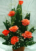 send gifts to bangladesh, send gift to bangladesh, banlgadeshi gifts, bangladeshi Thailand Red Rose 