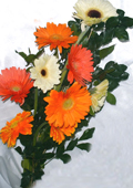 send gifts to bangladesh, send gift to bangladesh, banlgadeshi gifts, bangladeshi Exclusive Gerbera 