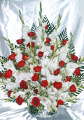 send gifts to bangladesh, send gift to bangladesh, banlgadeshi gifts, bangladeshi Rose & Gladula