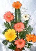 send gifts to bangladesh, send gift to bangladesh, banlgadeshi gifts, bangladeshi Gerbera Basket