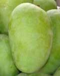 send gifts to bangladesh, send gift to bangladesh, banlgadeshi gifts, bangladeshi Langra Mango 5 Kg