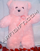 send gifts to bangladesh, send gift to bangladesh, banlgadeshi gifts, bangladeshi Long Teddy Bear