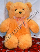 send gifts to bangladesh, send gift to bangladesh, banlgadeshi gifts, bangladeshi Long Teddy Bear