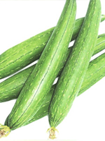 send gifts to bangladesh, send gift to bangladesh, banlgadeshi gifts, bangladeshi দুন্দুল / Sponge Gourd