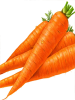 send gifts to bangladesh, send gift to bangladesh, banlgadeshi gifts, bangladeshi গাজর / Carrot