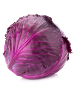 send gifts to bangladesh, send gift to bangladesh, banlgadeshi gifts, bangladeshi লাল বাঁধাকপি / Red Cabbage