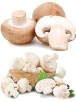 send gifts to bangladesh, send gift to bangladesh, banlgadeshi gifts, bangladeshi মাশরুম / Mushroom