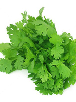 send gifts to bangladesh, send gift to bangladesh, banlgadeshi gifts, bangladeshi ধনিয়া পাতা / Coriander leaf