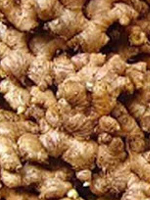 send gift to bangladesh, send gifts to bangladesh, send Imported Ginger to bangladesh, bangladeshi Imported Ginger, bangladeshi gift, send Imported Ginger on valentinesday to bangladesh, Imported Ginger