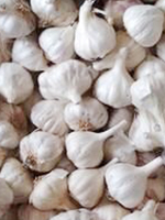 send gifts to bangladesh, send gift to bangladesh, banlgadeshi gifts, bangladeshi দেশি রসুন / Desi Garlic