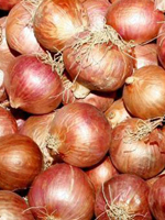 send gift to bangladesh, send gifts to bangladesh, send দেশি পেঁয়াজ / Desi Onion to bangladesh, bangladeshi দেশি পেঁয়াজ / Desi Onion, bangladeshi gift, send দেশি পেঁয়াজ / Desi Onion on valentinesday to bangladesh, দেশি পেঁয়াজ / Desi Onion