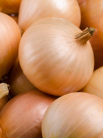 send gifts to bangladesh, send gift to bangladesh, banlgadeshi gifts, bangladeshi Imported Onion