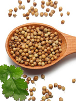 send gifts to bangladesh, send gift to bangladesh, banlgadeshi gifts, bangladeshi ধনে / Coriander