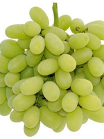 send gift to bangladesh, send gifts to bangladesh, send লাল আঙ্গুর / Red Grapes to bangladesh, bangladeshi লাল আঙ্গুর / Red Grapes, bangladeshi gift, send লাল আঙ্গুর / Red Grapes on valentinesday to bangladesh, লাল আঙ্গুর / Red Grapes