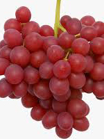 send gifts to bangladesh, send gift to bangladesh, banlgadeshi gifts, bangladeshi লাল আঙ্গুর / Red Grapes