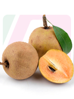 send gifts to bangladesh, send gift to bangladesh, banlgadeshi gifts, bangladeshi সফেদা / Sapodilla