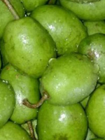 send gifts to bangladesh, send gift to bangladesh, banlgadeshi gifts, bangladeshi জলপাই Jalpai / Olive