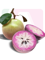 send gifts to bangladesh, send gift to bangladesh, banlgadeshi gifts, bangladeshi Star Apple