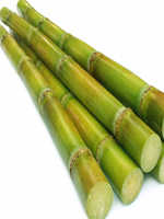 send gifts to bangladesh, send gift to bangladesh, banlgadeshi gifts, bangladeshi আখ / Sugar Cane