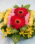 send gift to bangladesh, send gifts to bangladesh, send Gerbera Basket to bangladesh, bangladeshi Gerbera Basket, bangladeshi gift, send Gerbera Basket on valentinesday to bangladesh, Gerbera Basket