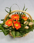 send gift to bangladesh, send gifts to bangladesh, send Gerbera With Vase to bangladesh, bangladeshi Gerbera With Vase, bangladeshi gift, send Gerbera With Vase on valentinesday to bangladesh, Gerbera With Vase
