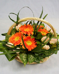 send gift to bangladesh, send gifts to bangladesh, send Gerbera Basket to bangladesh, bangladeshi Gerbera Basket, bangladeshi gift, send Gerbera Basket on valentinesday to bangladesh, Gerbera Basket