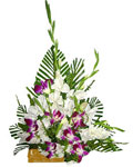 send gifts to bangladesh, send gift to bangladesh, banlgadeshi gifts, bangladeshi Mix Flower