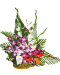 send gift to bangladesh, send gifts to bangladesh, send Mix Flower to bangladesh, bangladeshi Mix Flower, bangladeshi gift, send Mix Flower on valentinesday to bangladesh, Mix Flower