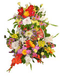 send gift to bangladesh, send gifts to bangladesh, send Mix Flower to bangladesh, bangladeshi Mix Flower, bangladeshi gift, send Mix Flower on valentinesday to bangladesh, Mix Flower