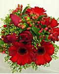 send gifts to bangladesh, send gift to bangladesh, banlgadeshi giftsGerbera