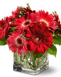 send gifts to bangladesh, send gift to bangladesh, banlgadeshi giftsValentine's Flowers