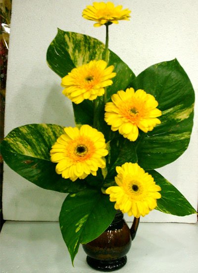 Send Thai Gerbera to Bangladesh, Send gifts to Bangladesh