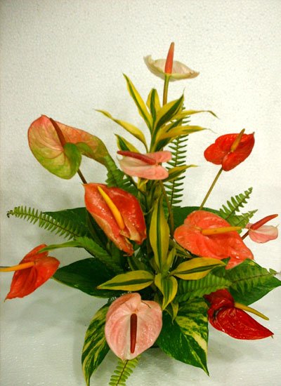 Send Mix Flower to Bangladesh, Send gifts to Bangladesh