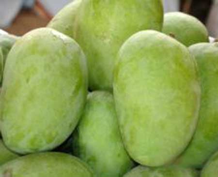 Send Langra Mango 5 Kg to Bangladesh, Send gifts to Bangladesh