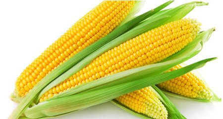 Send ভূট্টা / Corn to Bangladesh, Send gifts to Bangladesh