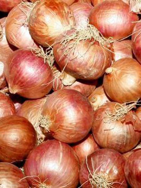 Send দেশি পেঁয়াজ / Desi Onion to Bangladesh, Send gifts to Bangladesh