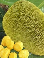 Send Durian to Bangladesh, Send gifts to Bangladesh